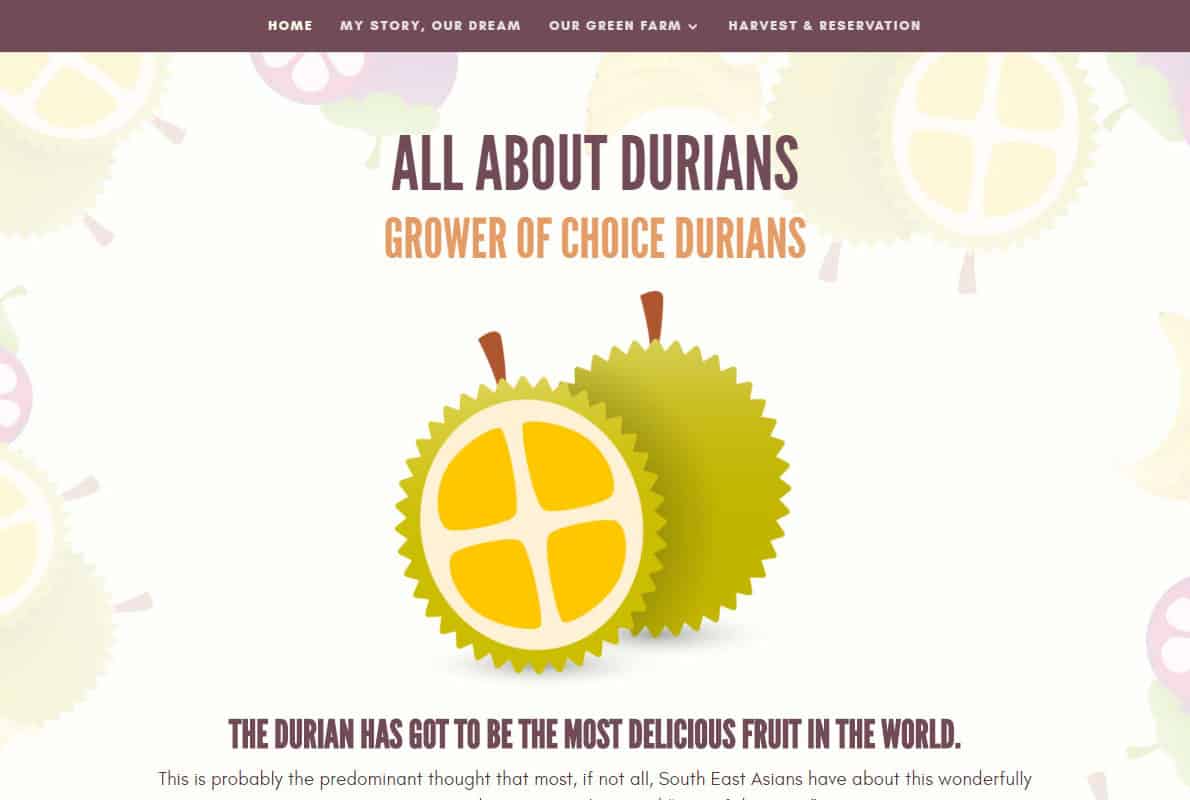 All About Durians Divi Theme Example