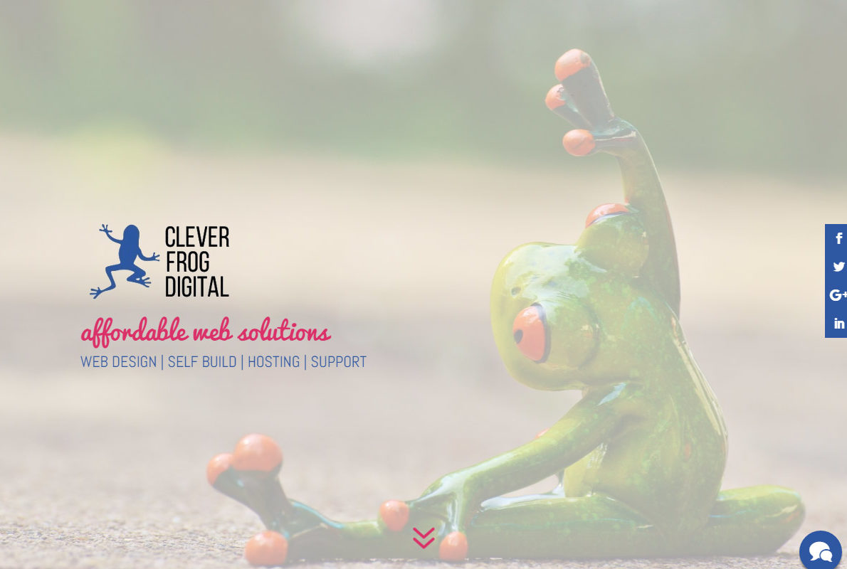 Clever Frog Digital Divi Theme Example