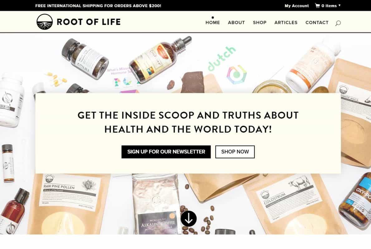 Root Of Life Divi Theme Example