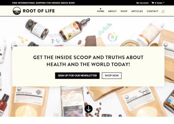 Root Of Life on Divi Gallery