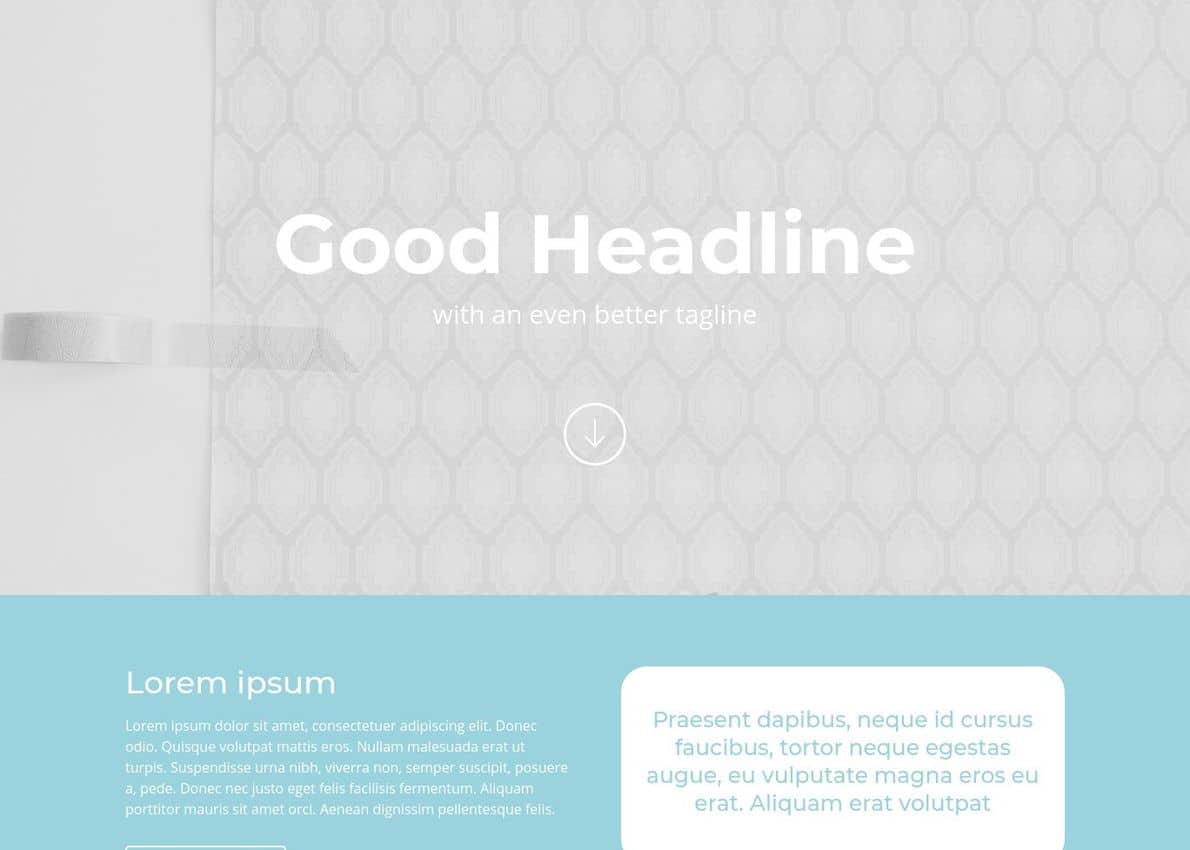Agency Homepage layout Divi Theme Example