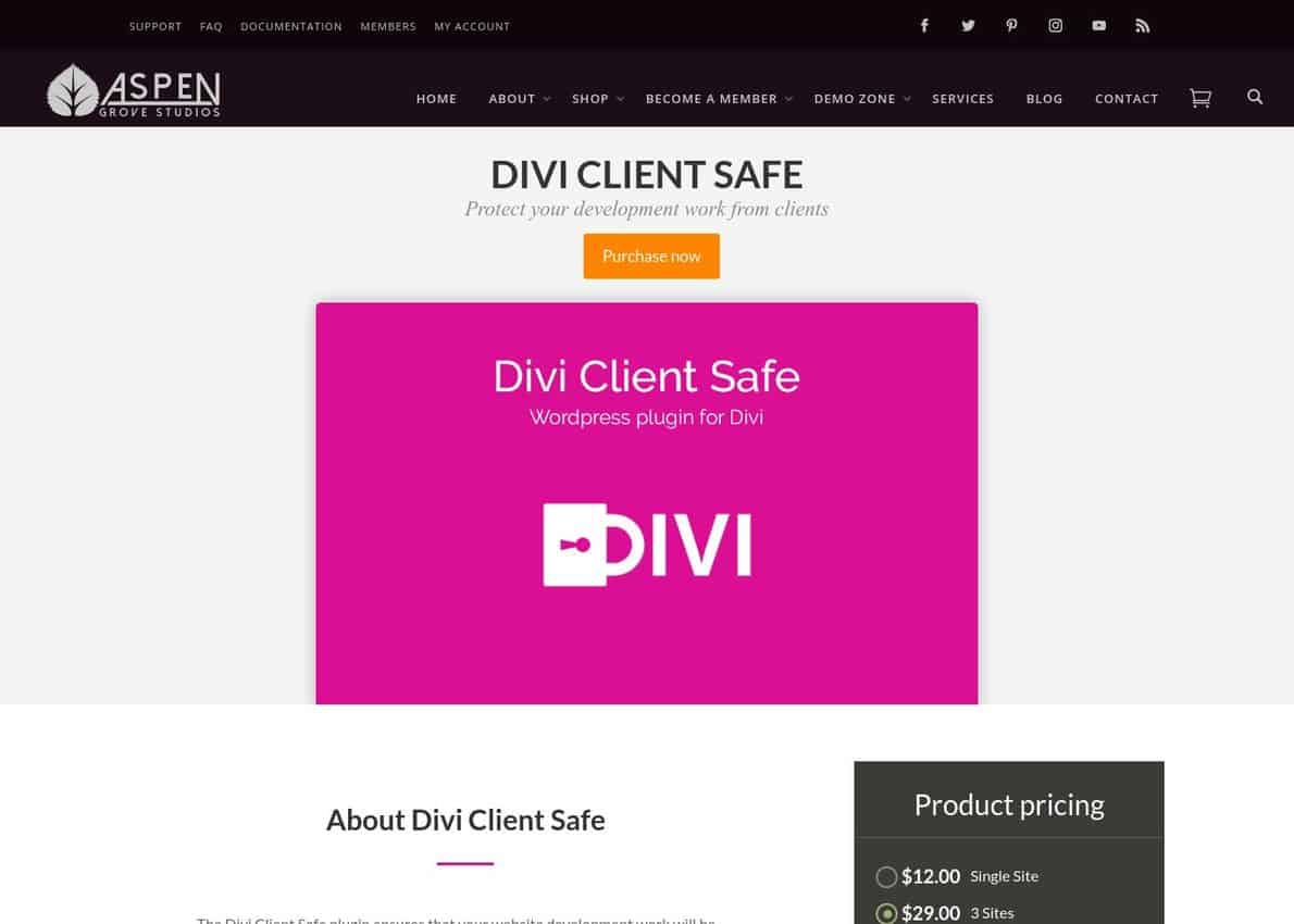 Divi Client Safe Divi Theme Example