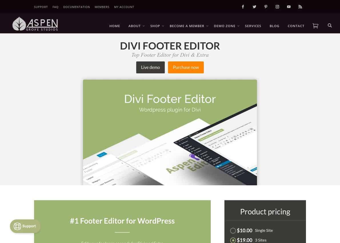 Divi Footer Editor Divi Theme Example