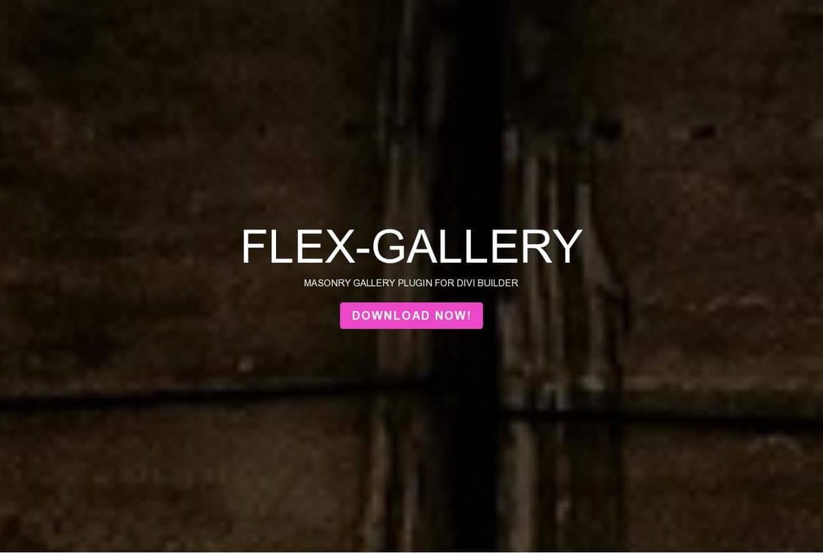 Flex Gallery Divi Theme Example