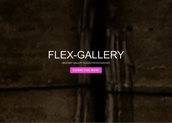 Flex Gallery on Divi Gallery