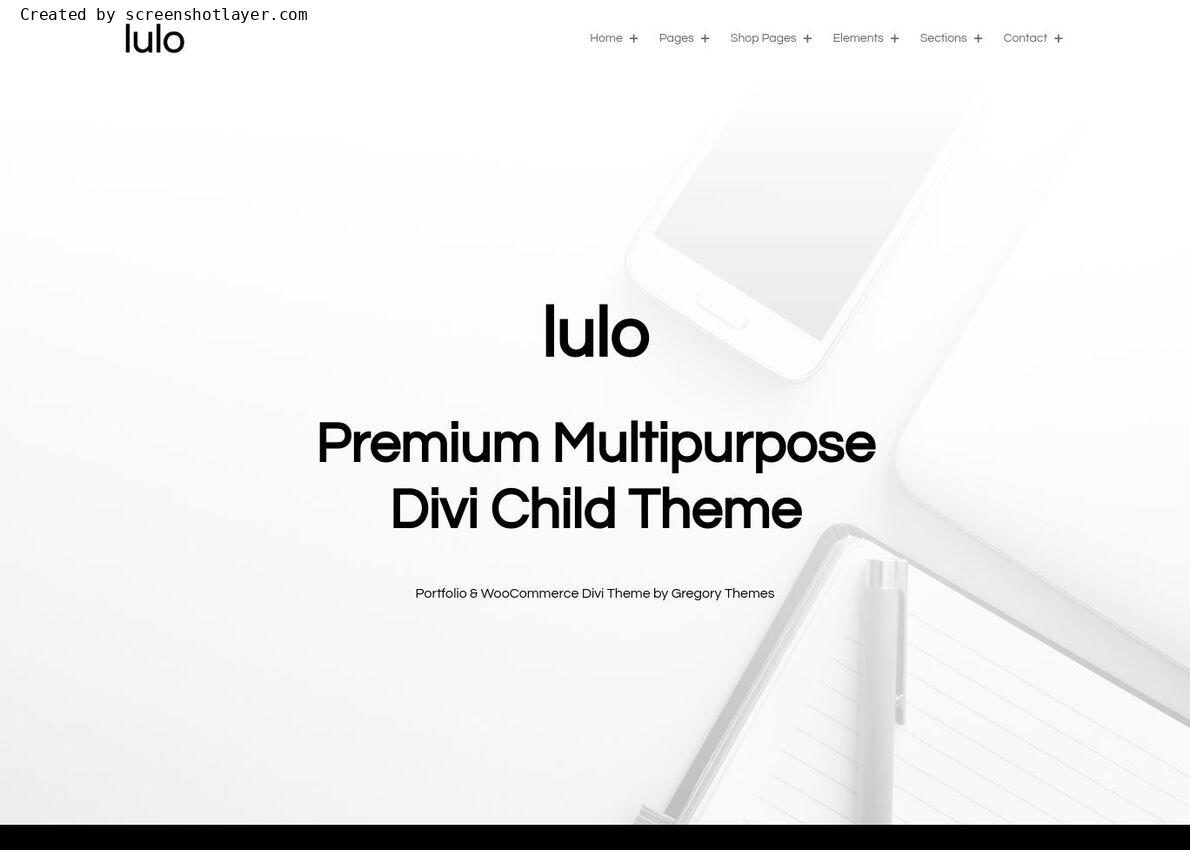 Lulo Multipurpose Theme Divi Theme Example