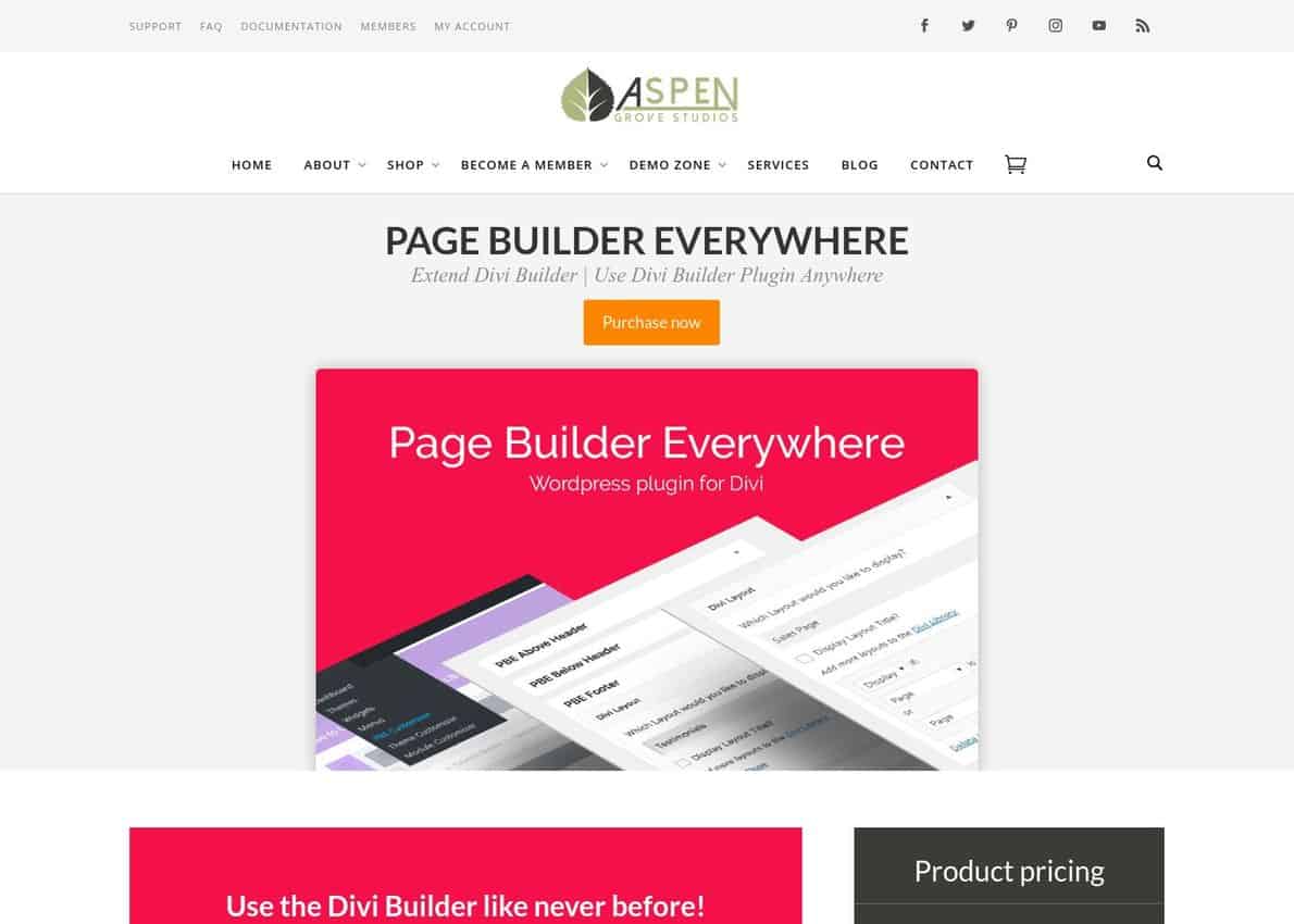 Page Builder Everywhere Divi Theme Example
