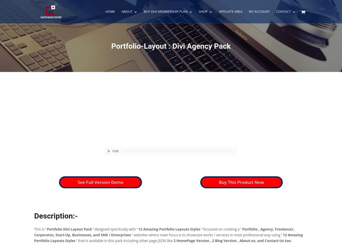 Portfolio Layout : Divi Agency Pack Divi Theme Example