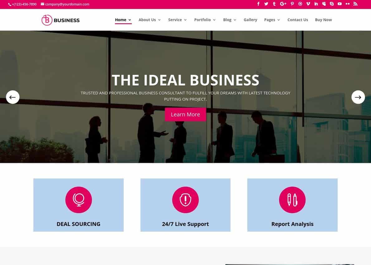 Professional Business Divi Theme Example