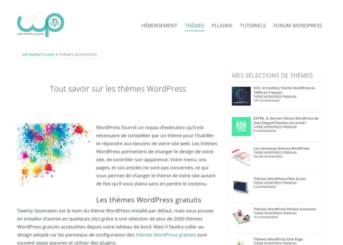 Thèmes WordPress Divi Theme Example