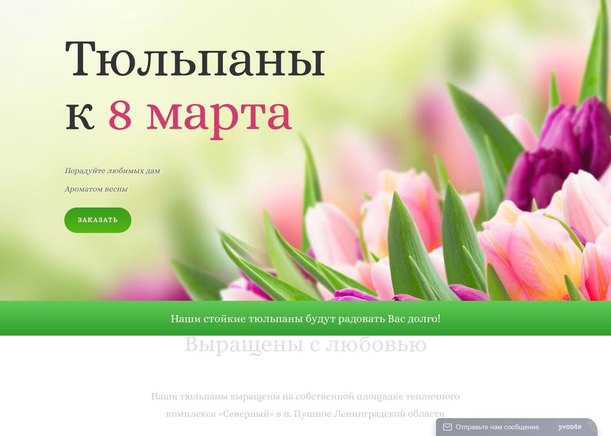 Купить тюльпаны к 8 марта Divi Theme Example